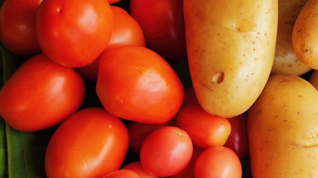 descubren que la patata proviene del tomate